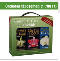 Orchidea tápcsomag