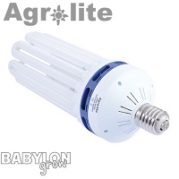 Agrolite CFL bulb for growing