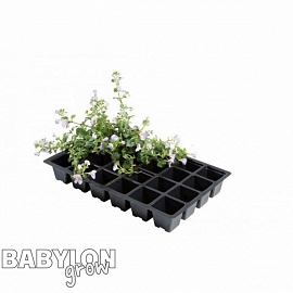 Planting tray for 24 plants (5 pcs / pack)
