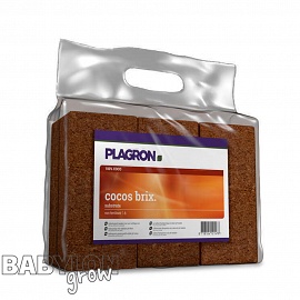 Plagron coconut brick (6 pcs / package)