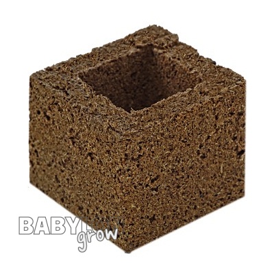 Eazy Block Rooting Medium