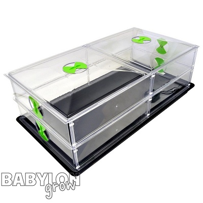 Nutriculture Vitopod expandable propagator 4