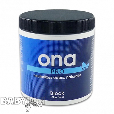 ONA Block Odor Neutralizing Agent 170 g 4