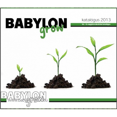 Babylon katalógus 2013